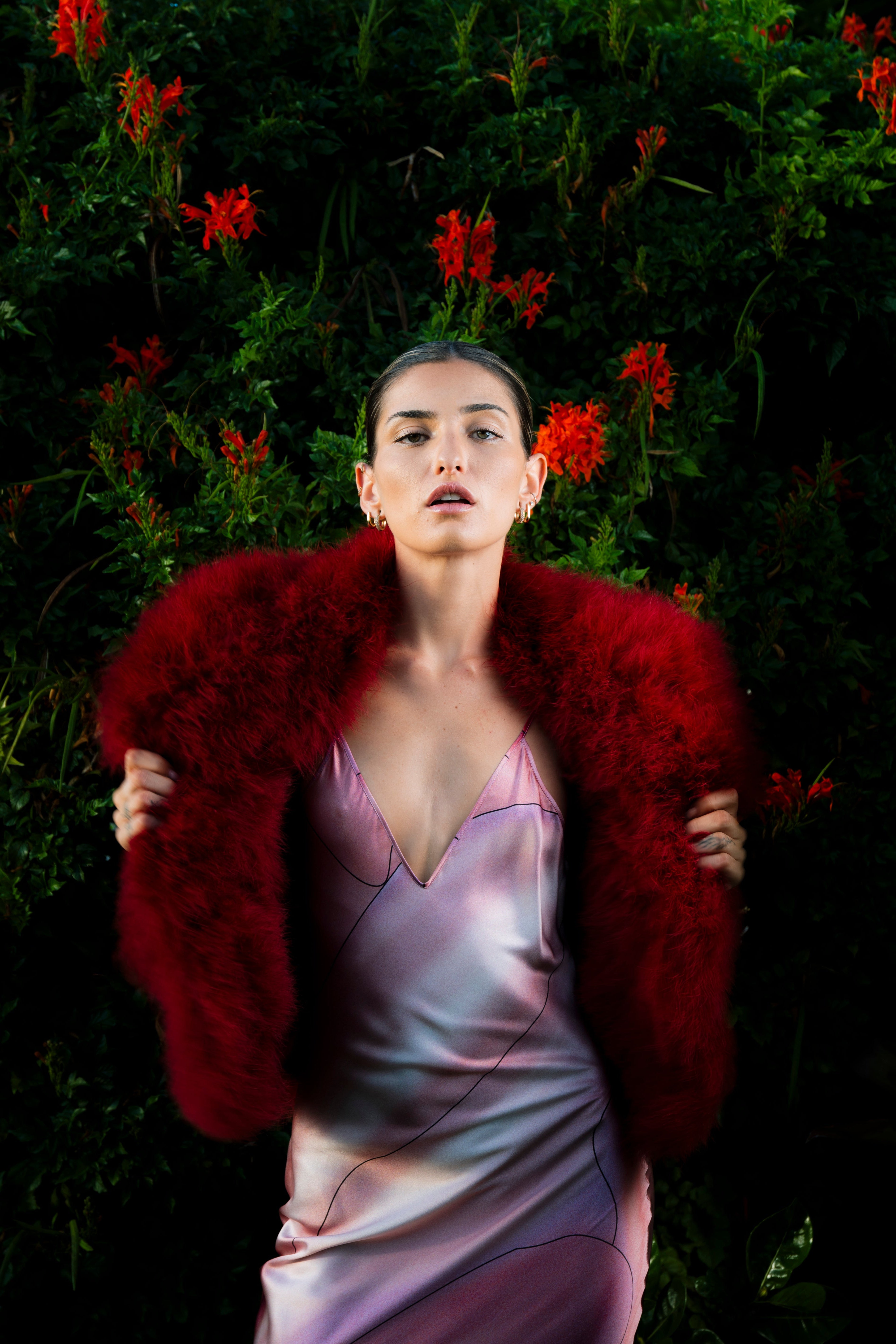 CALLAS bolero bordeaux